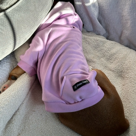 Spark Paws Essential Dog Hoodie - Lavender Size XLarge Worn  3x’s. - Picture 13 of 16